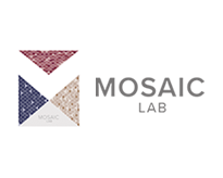 Mosaic Lab
